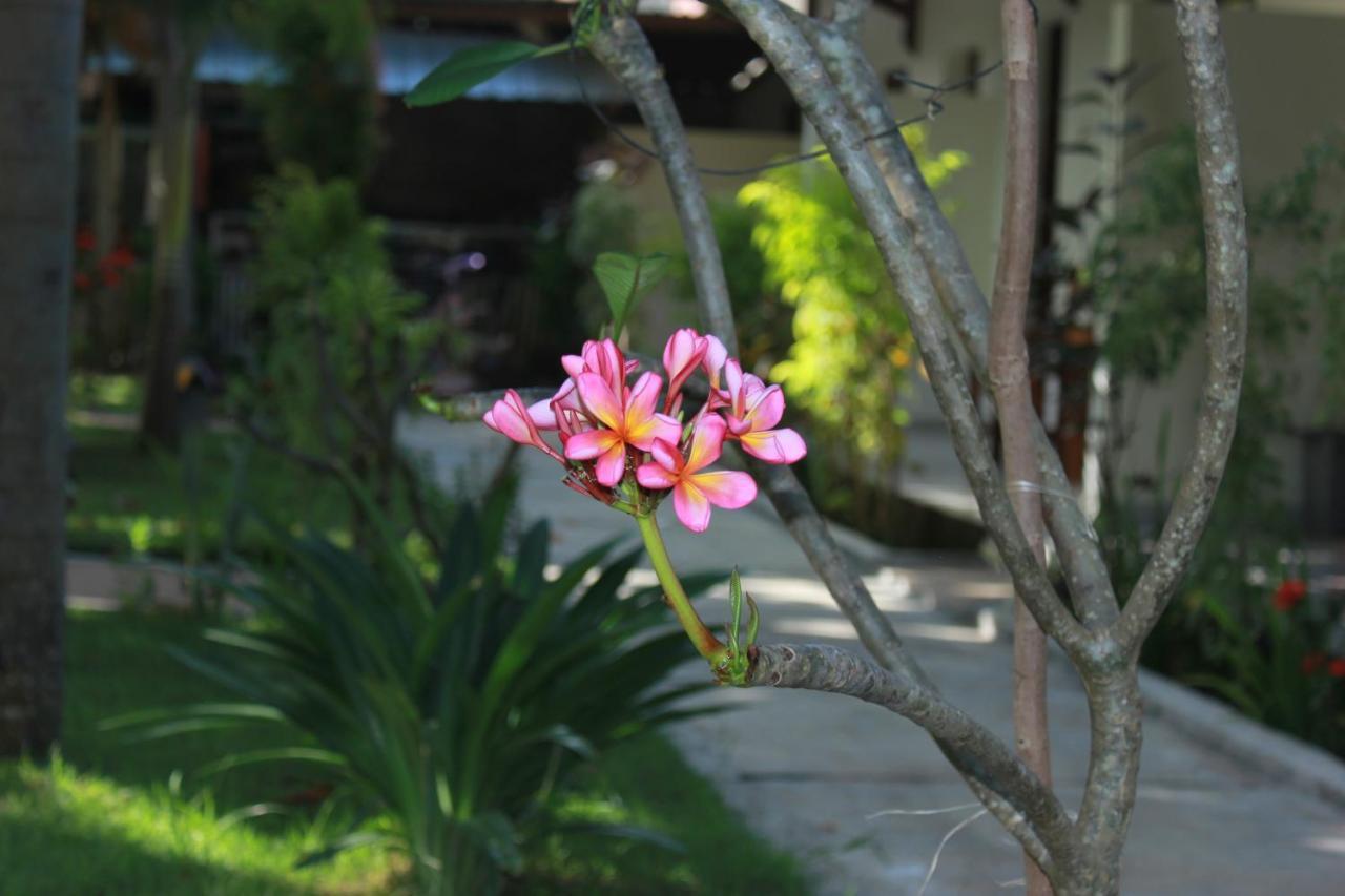 Herry Homestay Kuta  ภายนอก รูปภาพ
