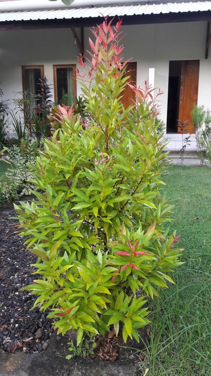 Herry Homestay Kuta  ภายนอก รูปภาพ