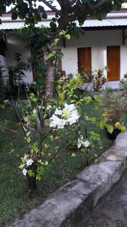 Herry Homestay Kuta  ภายนอก รูปภาพ