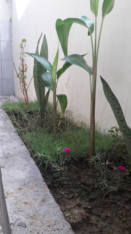 Herry Homestay Kuta  ภายนอก รูปภาพ